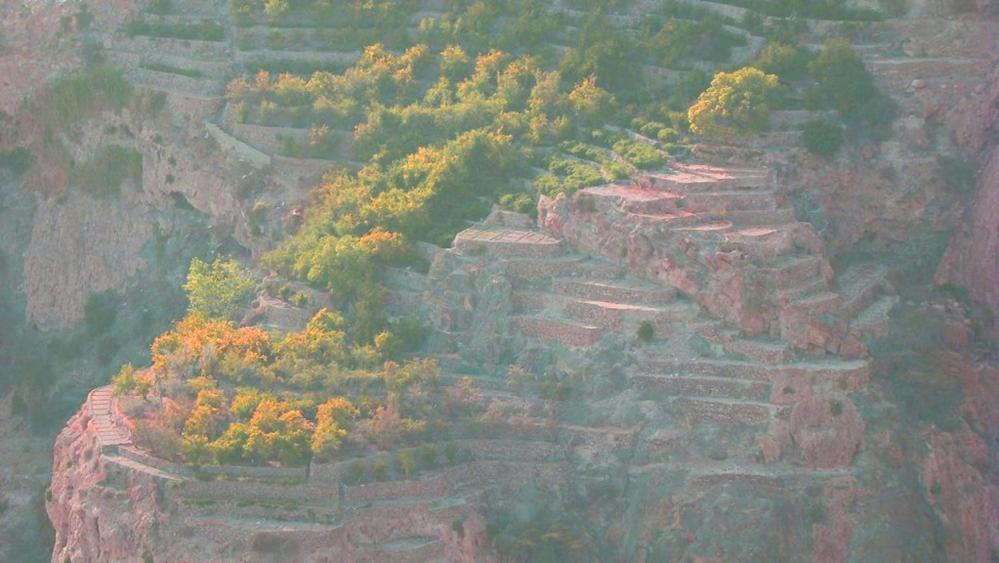 Green Mountain Hotel Apartments Al 'Aqar エクステリア 写真